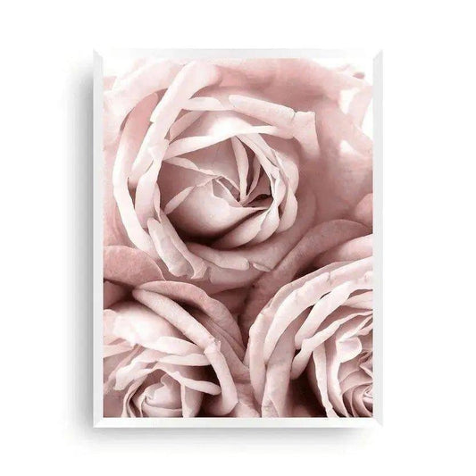 Poster Rosen - Dreamy roses - Wandschmuck-Shop.de