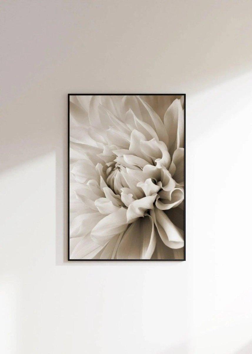 Rosen Poster beige - Pfingstrose als Bild - Narzissen Wandbild - Wandschmuck - Shop.de